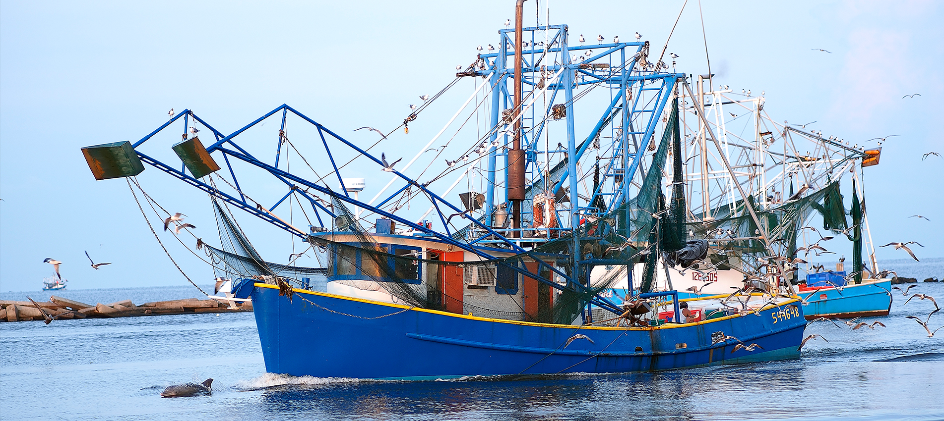 Ulifefoods, 20 Tahun Pengeluar Makanan Laut Beku Premier & Makanan Diproses Daging